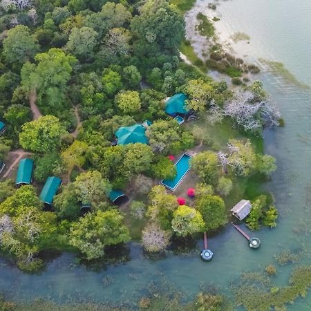 Flameback Eco Lodge Тисамахарама Екстериор снимка