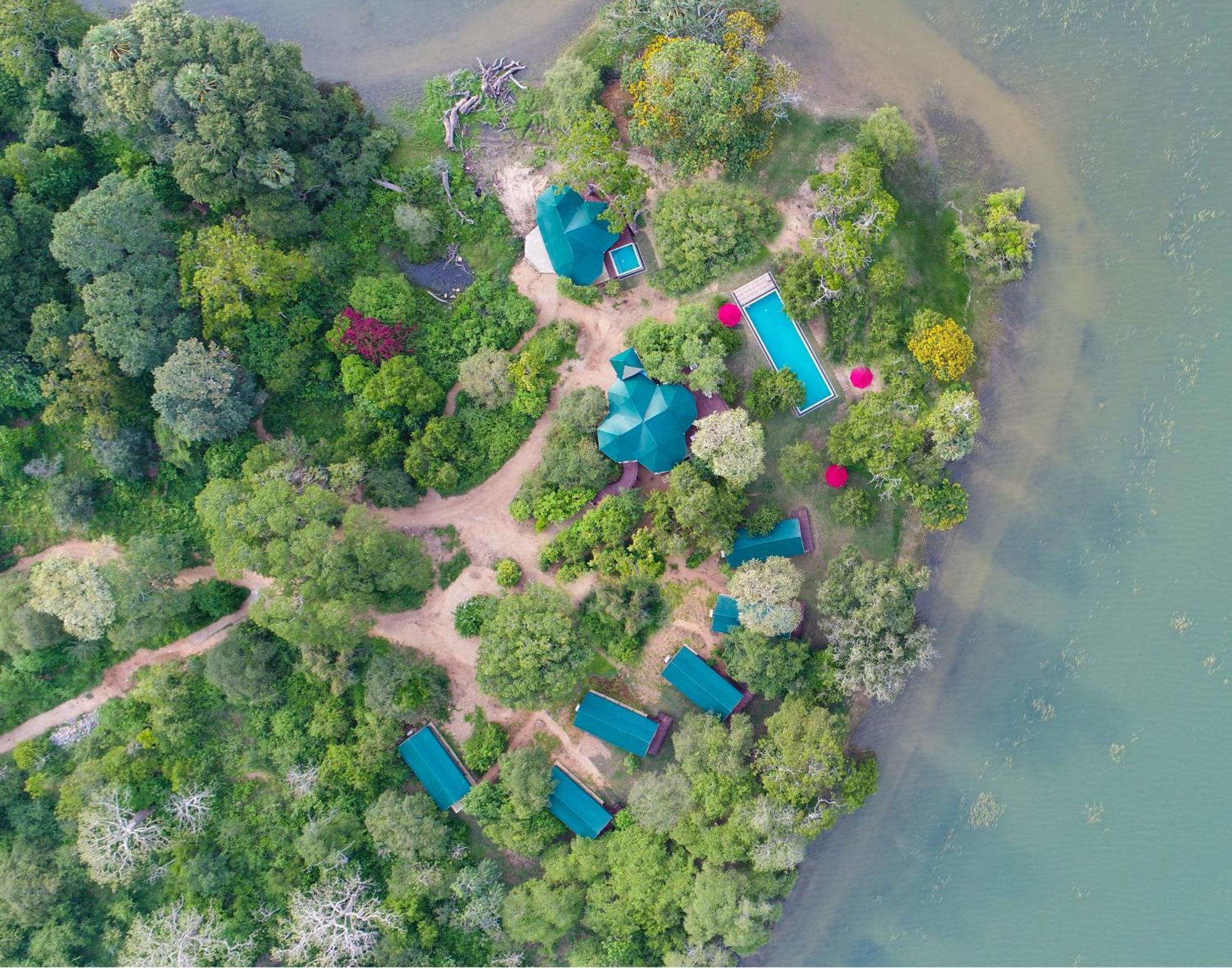 Flameback Eco Lodge Тисамахарама Екстериор снимка