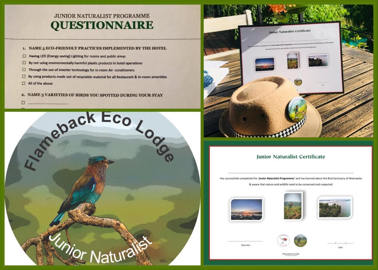 Flameback Eco Lodge Тисамахарама Екстериор снимка